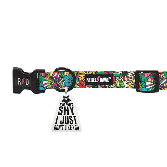 I'm Not Shy I Just Don't Like You