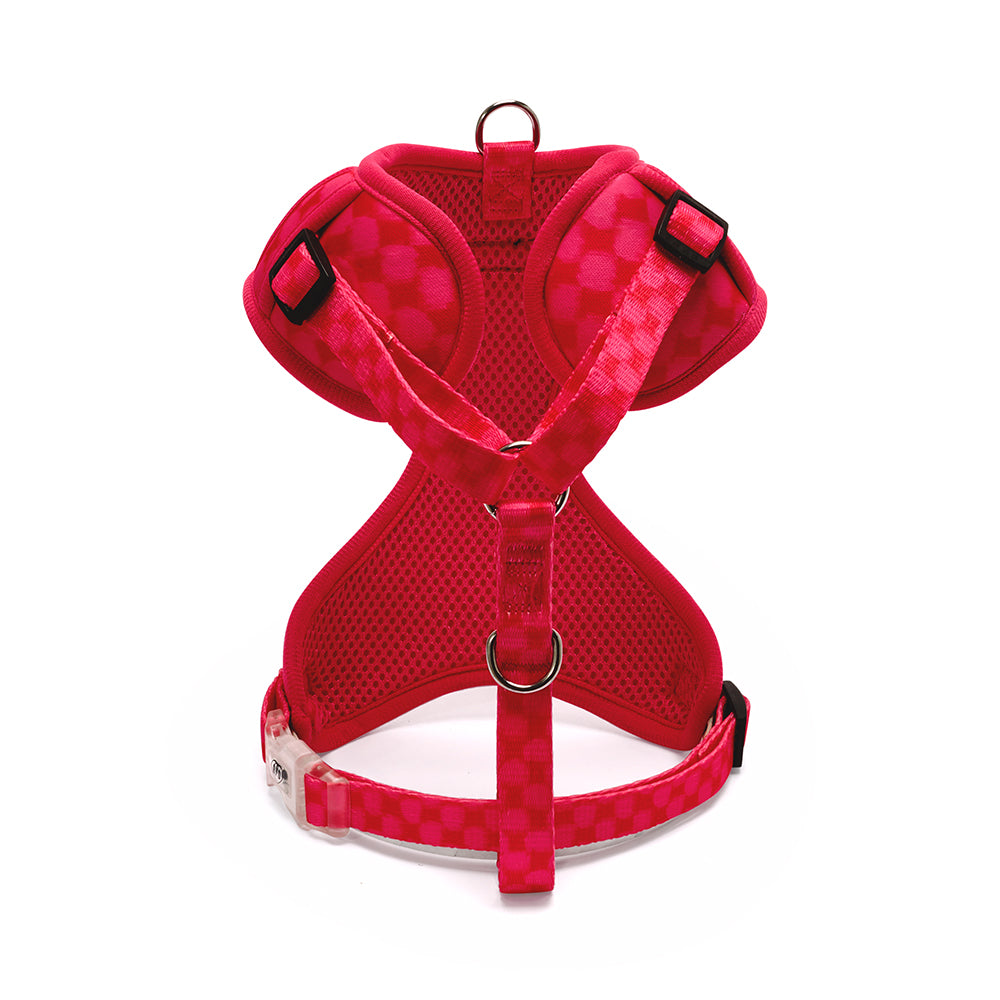Harness - The City Collection